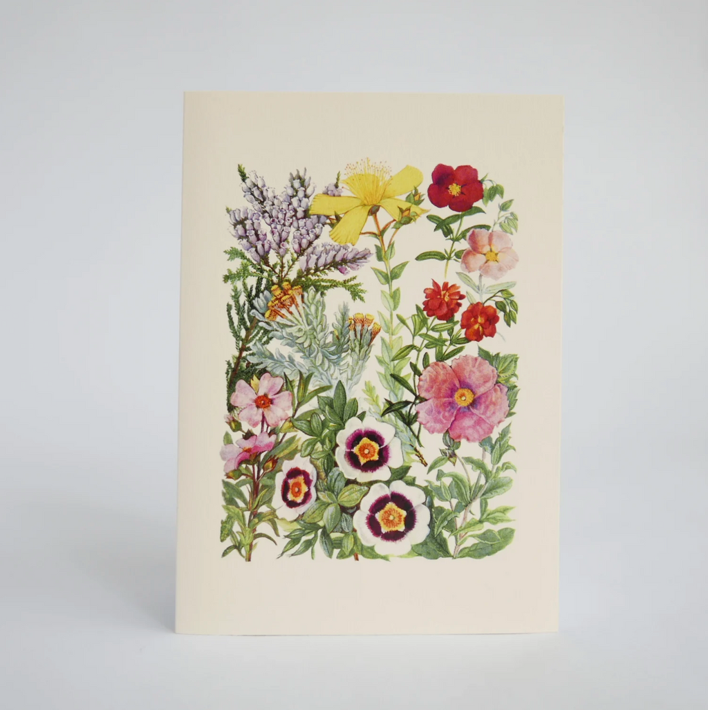 Hydrangea Ranger Card - Wildflowers