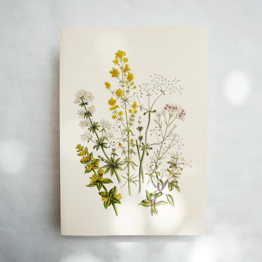 Hydrangea Ranger Card - Wild Madder