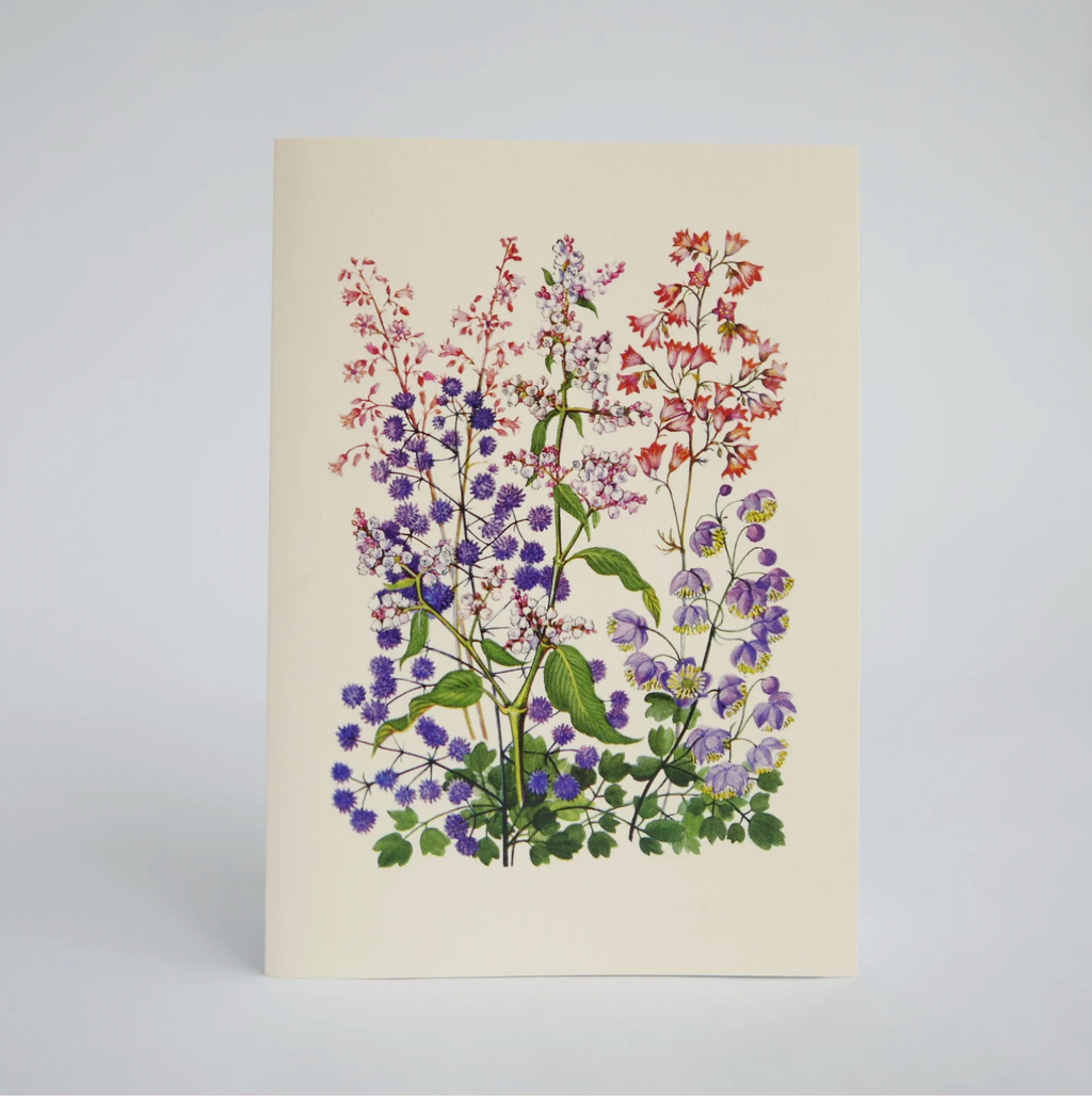 Hydrangea Ranger Card - Bluebells