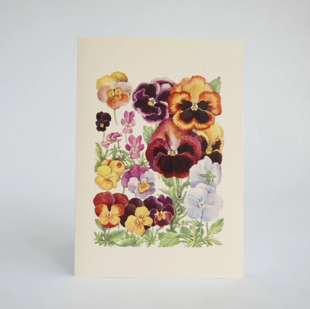 Hydrangea Ranger Card - Pansies